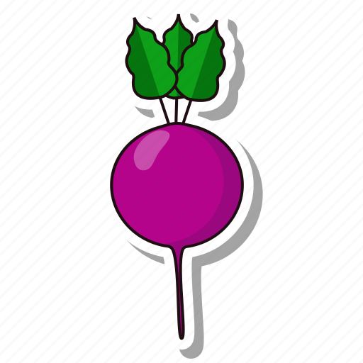 Beet, root, vegetable icon - Download on Iconfinder