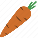 vegetable, carrot