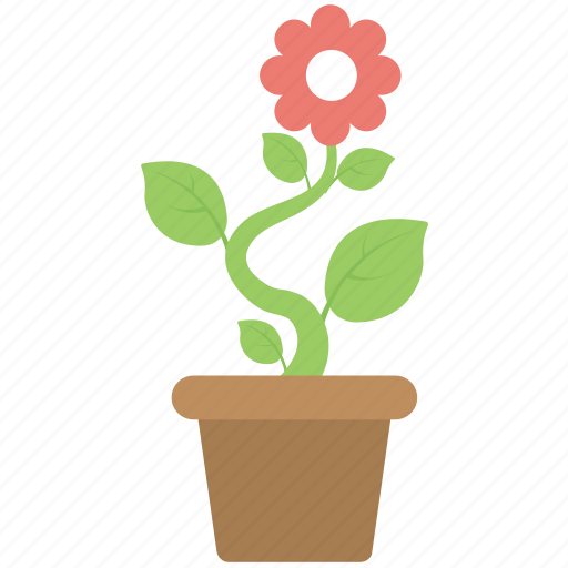 Flowering plant, houseplant, indoor plants, nature, potted plant icon - Download on Iconfinder