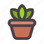 plant, pot, flower, potted, botanical 