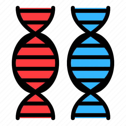 Chromosome, dna, gene, genome, technology icon - Download on Iconfinder