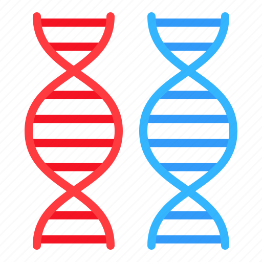 Chromosome, dna, gene, genome, technology icon - Download on Iconfinder
