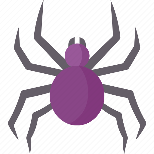 Spider, arachnid, animal, insect, poisonous icon - Download on Iconfinder