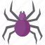 spider, arachnid, animal, insect, poisonous 