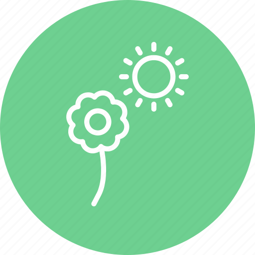 Flower, sun, garden, gardening, greenery icon - Download on Iconfinder