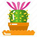 cactus, floral, flower, plant, succulent