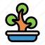 bonsai, tree, plant, gardening 