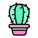 cactus, nature, plant, decoration, succulent