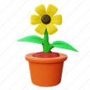 garden, sunflower, flower, plant, nature, floral, pot 