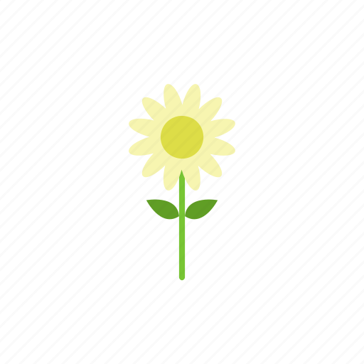 Color, flower, garden, nature, spring icon - Download on Iconfinder