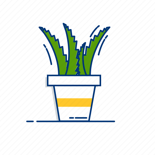 Aloevera, botany, cactus, herb, herbal, natural, plant icon - Download on Iconfinder