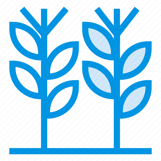 Cold, gardening, green, nature, plant, spring, summer icon - Download on Iconfinder