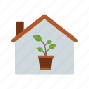 house, nursery, plant
