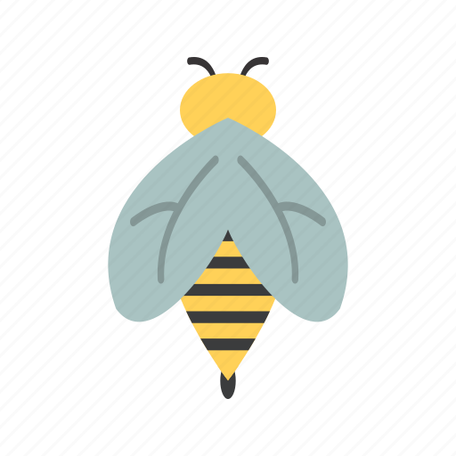 Bee, honey, insect icon - Download on Iconfinder