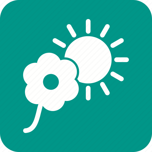 Decoration, flower, flowers, garden, nature, plant, sunlight icon - Download on Iconfinder
