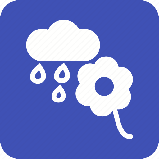 Beautiful, flower, forest, nature, rain, water, wet icon - Download on Iconfinder