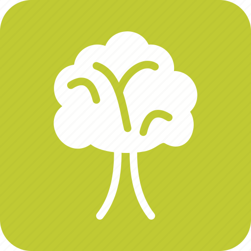Environment, green, nature, spring, summer, tree, trees icon - Download on Iconfinder