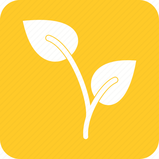Green, growing, nature, plant, seedling, tree, young icon - Download on Iconfinder