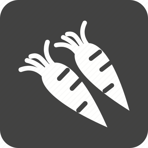 Carrot, carrots, food, fresh, leaf, nature, red icon - Download on Iconfinder