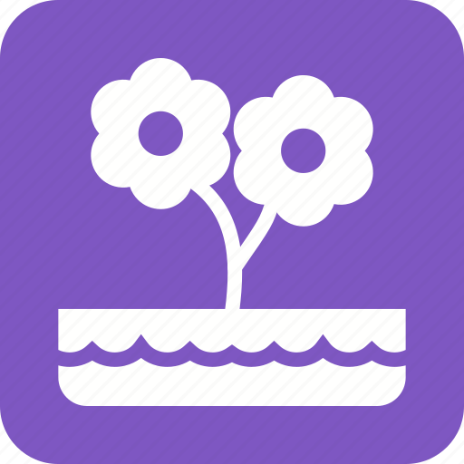 Decoration, flower, flowers, garden, nature, plant, pot icon - Download on Iconfinder