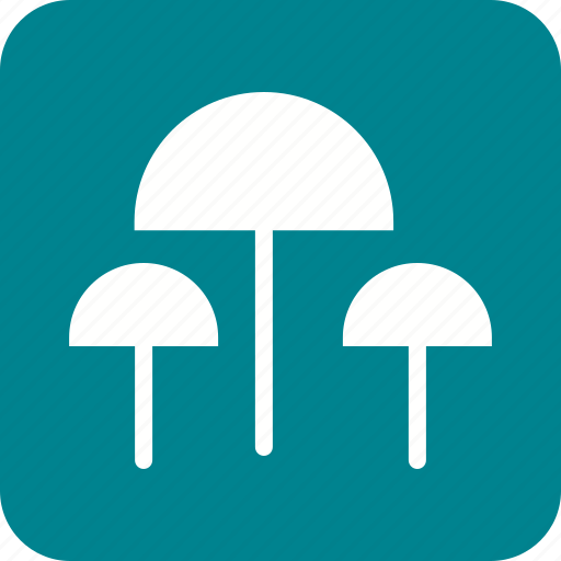 Food, healthy, mushroom, mushrooms, organic, oyster icon - Download on Iconfinder