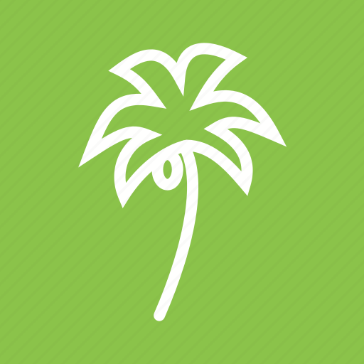 Beach, coconut, palm, summer, tree, trees, tropical icon - Download on Iconfinder