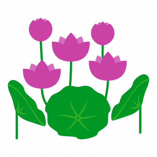 Blossom, botanical, flowers, garden, leaves, lotus, nature icon - Download on Iconfinder