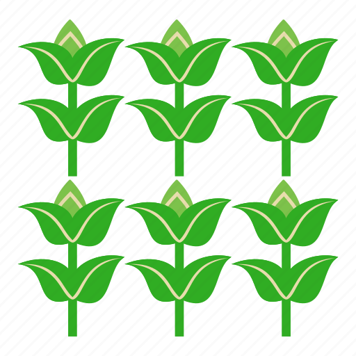 Forest, gardening, growing, nature, plant, seed, tree icon - Download on Iconfinder