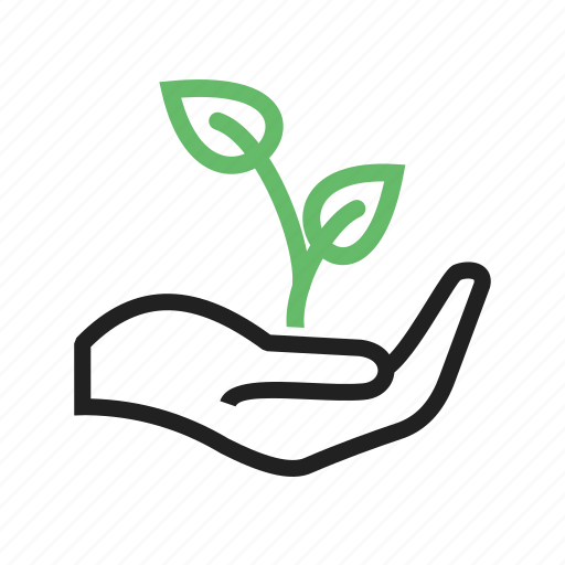 Agriculture, field, green, nature, plant, plantation icon - Download on Iconfinder