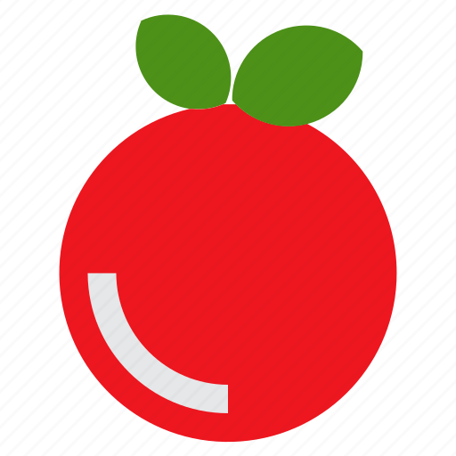 Orange, gastronomy, meal, segment, fruit, food, restaurant icon - Download on Iconfinder