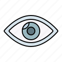 eye, show, preview, interface