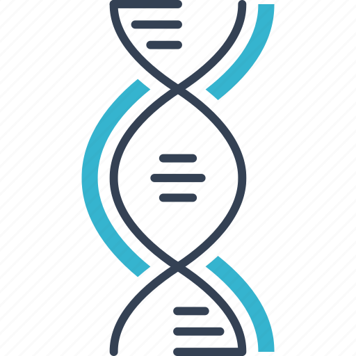 Genetics, helix, gene, strand, dna, science icon - Download on Iconfinder