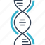 genetics, helix, gene, strand, dna, science 
