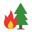 wildfire, forest fire, forest, disaster, fire, ecology and environment, flame, tree, natural disaster 