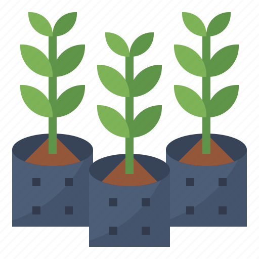 Green, growth, plant, tree icon - Download on Iconfinder