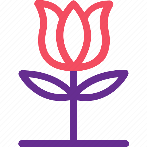 Celebration, flower, marriage, party, plant, rose, wedding icon - Download on Iconfinder