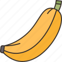 banana, fruit, diet, food, vitamin