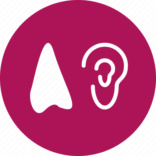 Ear, hear, listen, liver icon - Download on Iconfinder