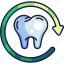 dental care, dentistry, dental, refresh, recheck, tooth, teeth 