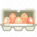 egg in box, egg, package, pack, groceries, shopping, supermarket