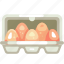 egg in box, egg, package, pack, groceries, shopping, supermarket 