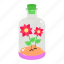 bottle planter, bottle gardening, recycle bottle, bottle flower, grow plants 