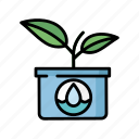 hydroponics, plant, nature, garden