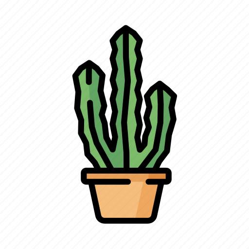 Cactus, green, plant, nature, desert icon - Download on Iconfinder