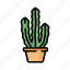 cactus, green, plant, nature, desert 