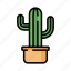 cactus, green, desert, plant 