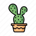 cactus, garden, plant, desert, nature