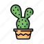 cactus, garden, plant, desert, nature 
