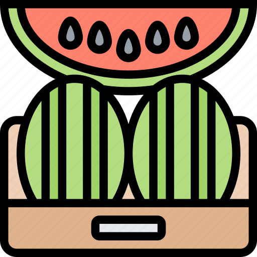 Watermelon, fruit, fresh, organic, sliced icon - Download on Iconfinder