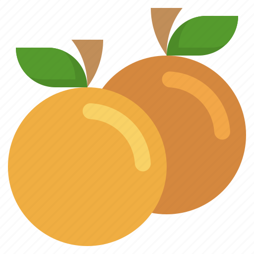 Orange, fruit, food, diet, and, restaurant, organic icon - Download on Iconfinder